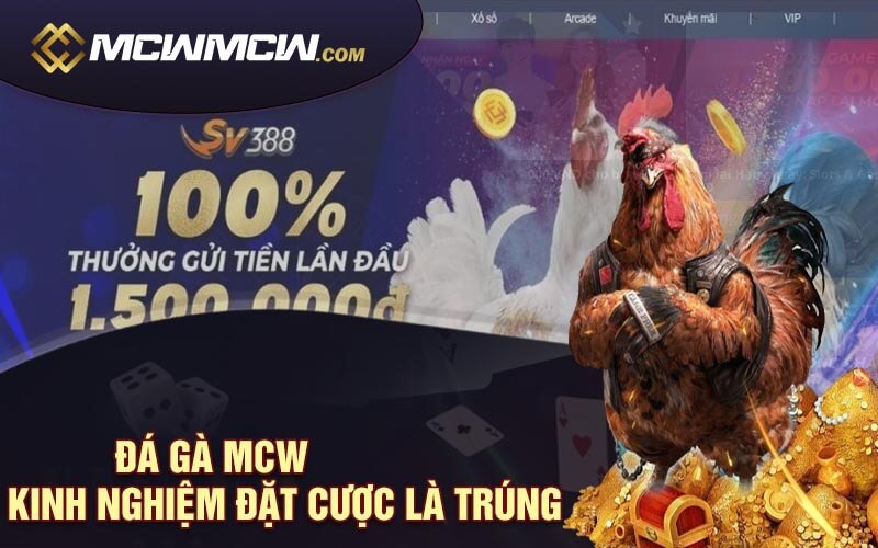 Đá Gà MCW - Kinh Nghiệm Đặt Cược Là Trúng